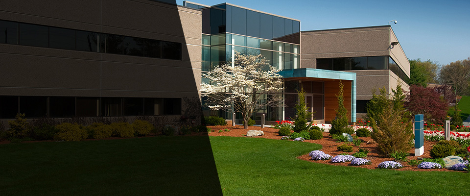 Cave Creek Landscapers