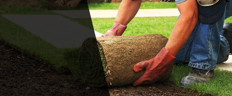 Cave Creek Landscapers